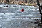 Handpaddle 44